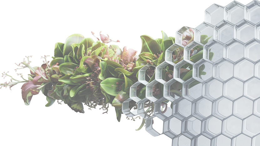 Organic Honeycomb